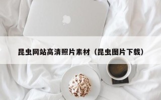张家口昆虫网站高清照片素材（昆虫图片下载）